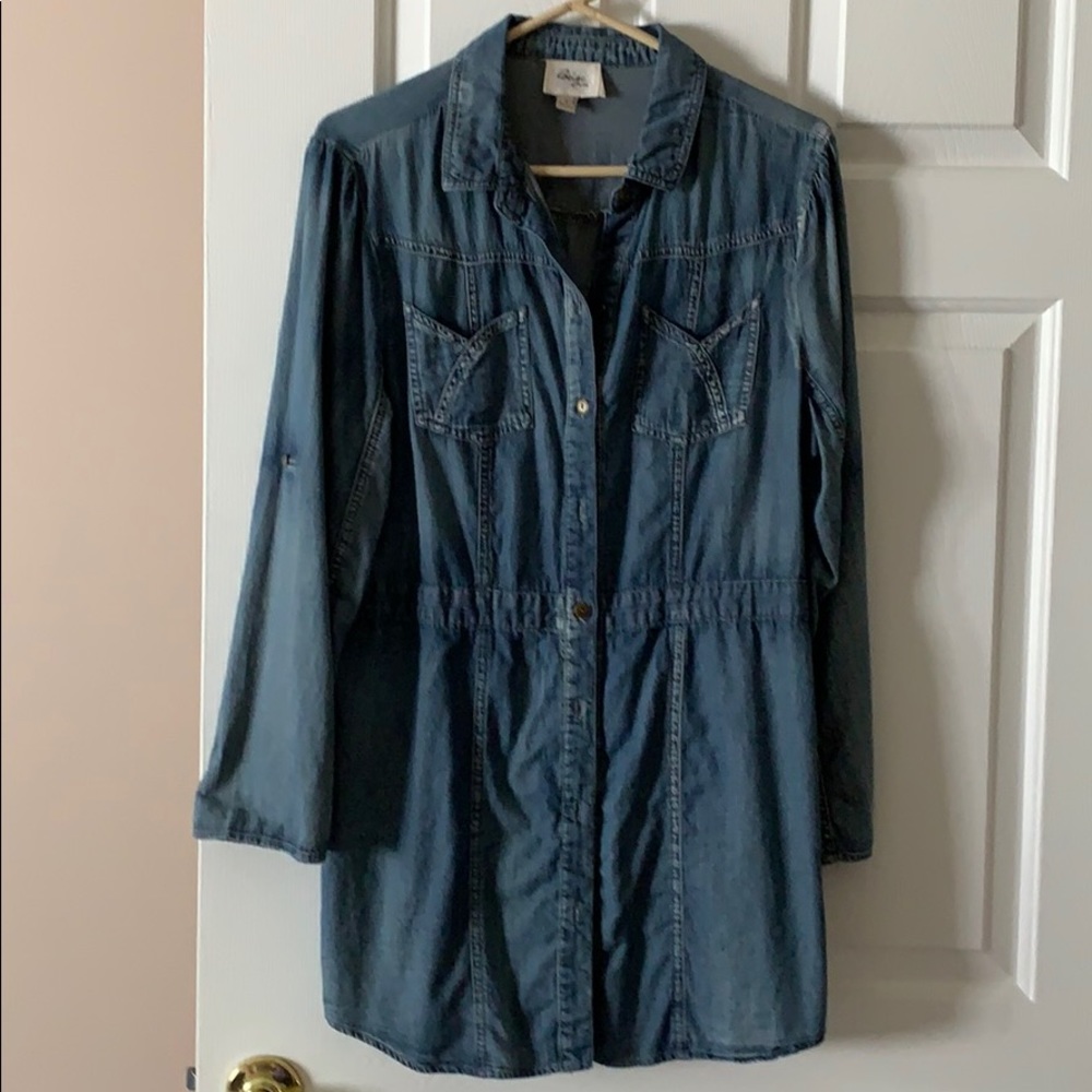 Denim Womans Dress